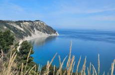 Podere Miray - Foto 20