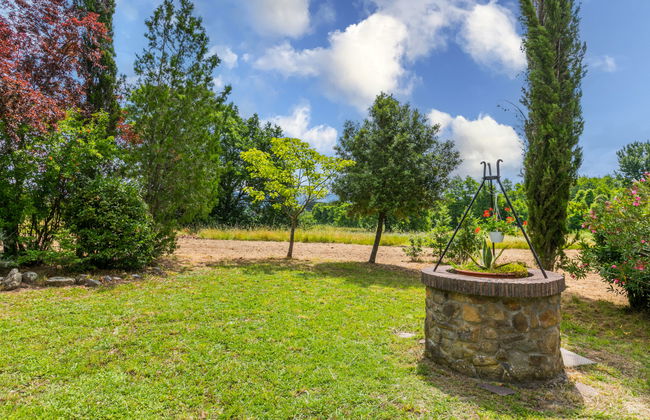 Tenuta La Colonna - Photo 68