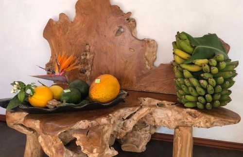 Afrikan Krisant Tenerife, Casa Rural Ecologica - Foto 50