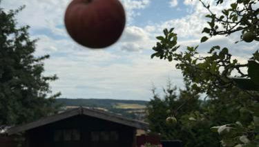 Apartment im Heidchen - Foto 3, Garden