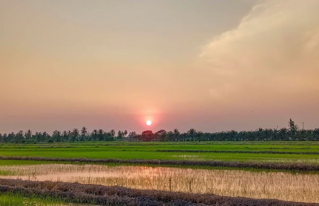 Kurau Inn Farmstay - Photo 29