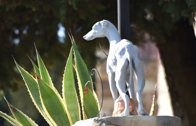 Agriturismo Poggio alla Pieve - Photo 62