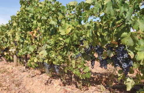 Nice Home In St Gilles - Foto 34