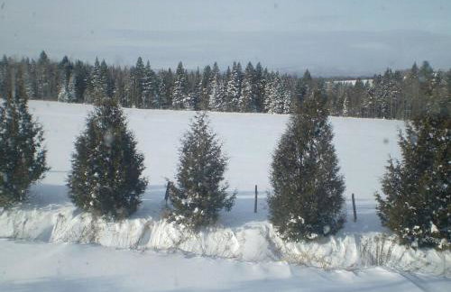 Rustic Family-Friendly Cabin Rental with Full Kitchen in the Northeast Kingdom of Vermont - Foto 8