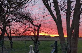 Urlaub auf dem Alpakahof Nähe Velgast - Foto 5