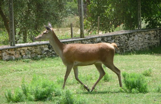 San Bernardino del Lago - Foto 27