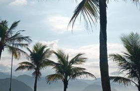 Kitnet Ubatuba 2 - Foto 10