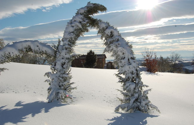 Podere Campovecchio - Foto 29