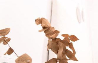 Libertad by Gades Gestión - Foto 11