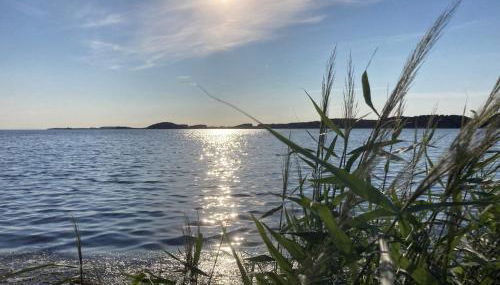 FeWo Lindenhof - Foto 2