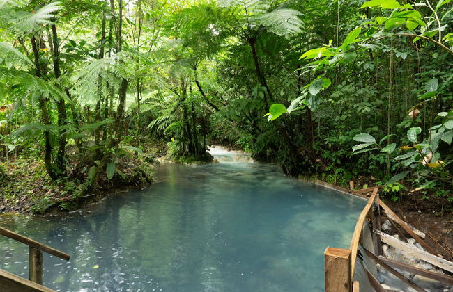 Oski Lodge - Foto 36