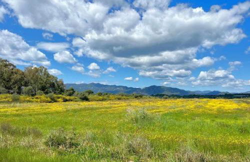 Villa Azurella Il Paradiso è qui - Foto 16