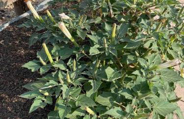 Sleeps 12 - Thornton - 25 Min to Downtown Denver - Foto 44