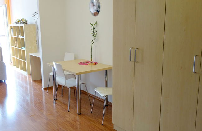 EEL accommodation Brno - Photo 3