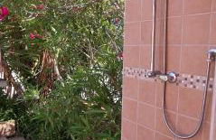 Patio House - Foto 21