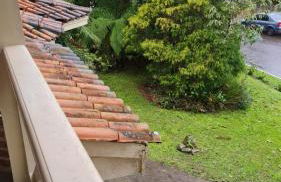 Casa do Bosque, espaçosa e confortável em condominio espetacular, 5 min centro! - Foto 69