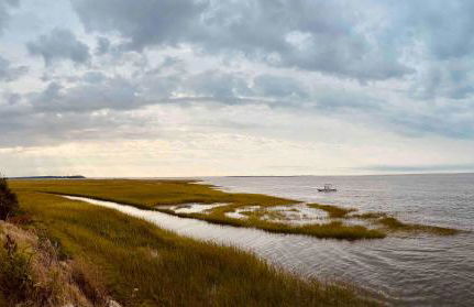 Key West Cottages - Foto 24