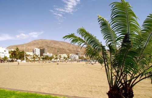 Parque Tropical I - Photo 43