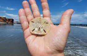 Casa na Beira do Mar, Peroba, Icapuí/CE, Morada Mariana - Foto 28