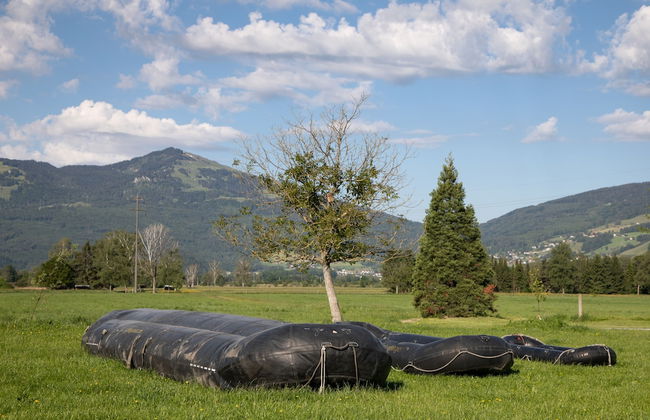 Steigmatt Bauernhof - Erlebnis - Foto 29