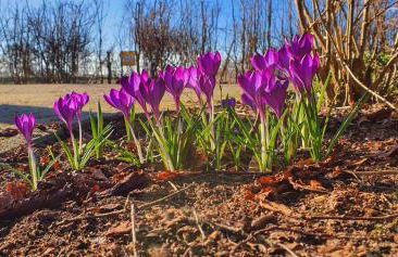 Ferienbauernhof De Slaaphoeve - Foto 20