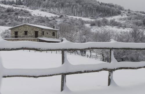 Fattoria Bio L'A Ceccoli - Foto 30