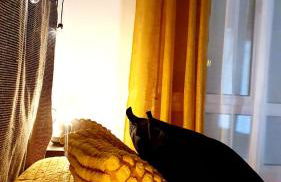 La Luz de Acevedo - Foto 15