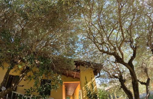 Agriturismo Gardenali - Foto 17