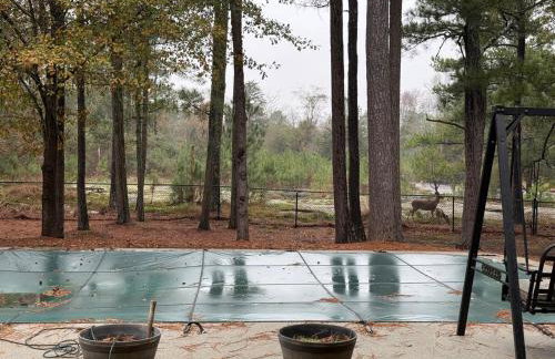 Secluded Retreat with Pool near Stone Mountain, Aquarium and Coca-Cola - Downtown - Foto 72