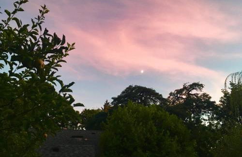 Jackson Star, A MidCentury Dream - Photo 30