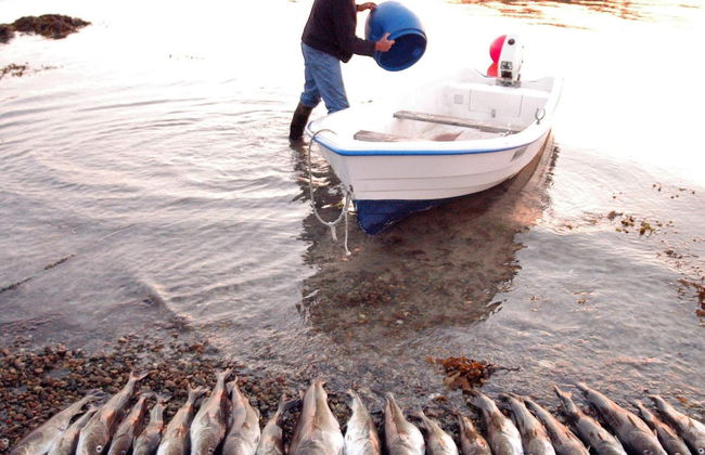 6 Person Holiday Home in Engavagen-by Traum - Foto 14