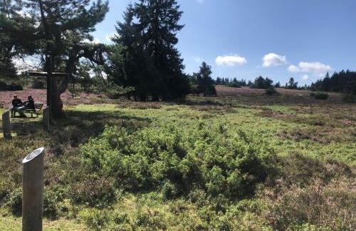 Fachwerkliebe Ornes 3 - Foto 38