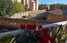 Jungle Sunshine Apartment - Foto 31