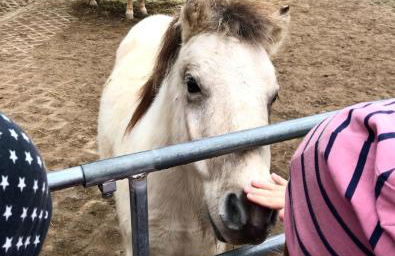 Ferienwohnung Scherr - Foto 20
