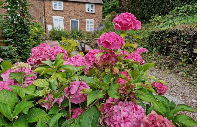 Lovely 2-bed Cottage in Coalbrookdale Telford - Photo 19