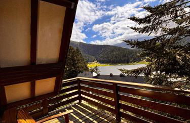 Adorable Chalet Sur le lac de Payolle - Foto 18