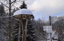 Ferienwohnung "Hirschlein" im Schwarzwald - Foto 52