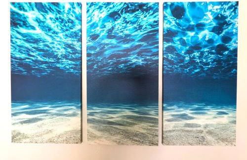 Paradise Awaits! Beach, King Bed, Private Yard & Workspace - Photo 13