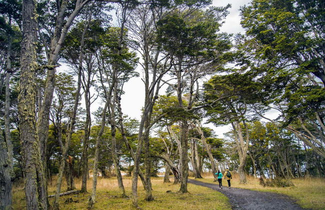Excursión al Fuerte Bulnes - Foto 6