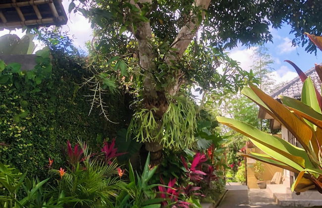 Dana's Place Private Villa - Photo 57