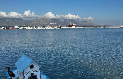 Εξοχική Μονοκατοικία με αυλή και εξωτερική αποθήκη-Country house with yard and external warehouse - Foto 26