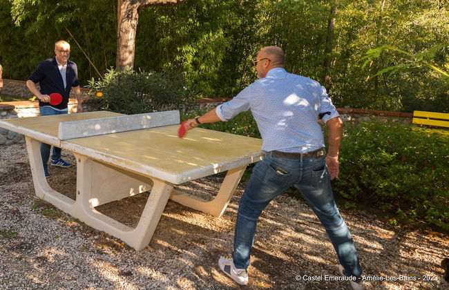 Appart'Hotel Castel Emeraude - Photo 56