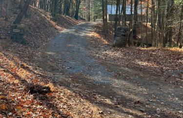 Buckhorn Cabin - Photo 3