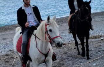 SEAL of Deer - Castle View - 5 minute walk to the Beach - Photo 13