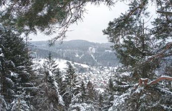 Tannenhuegel Residenz - Foto 23