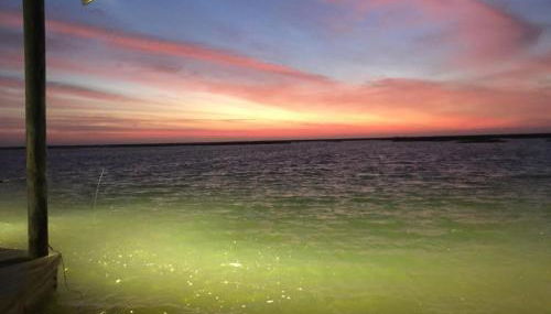Little Blue Crab Quaint Slidell Home Near Lakes - Foto 2