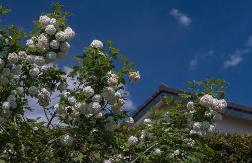 Ferienwohnung Schwalbennest - Foto 73