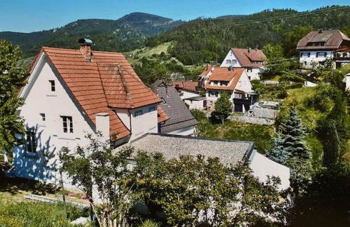 Apartment Rose - Photo 20