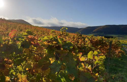 Studio 22, Terrasse,Pool,Sauna,Ofen - Foto 28