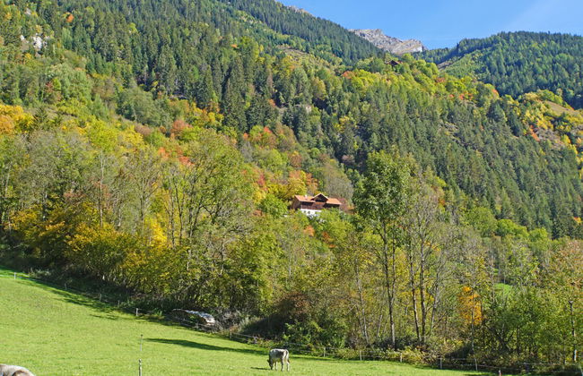 David am Buchhammerhof - Foto 23